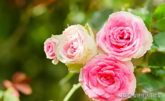 做人,長點心,懂點事,靠點譜