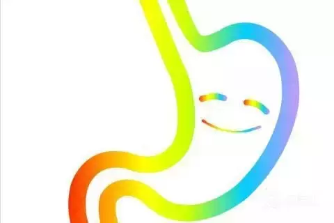 胃寒怎麼調理?推薦4款暖胃良方緩解胃寒 !