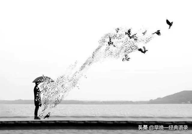 這一年我真的累了【句句入心】