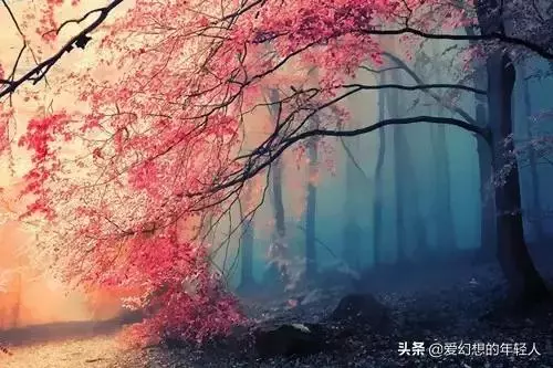 人在做,天在看,短短幾句話,改變了很多人!