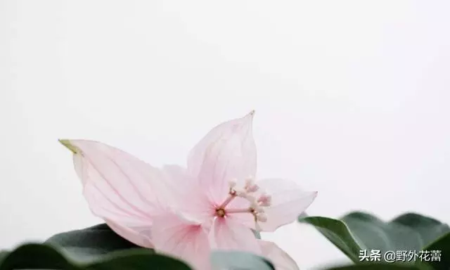 有一種修養,叫少管閒事
