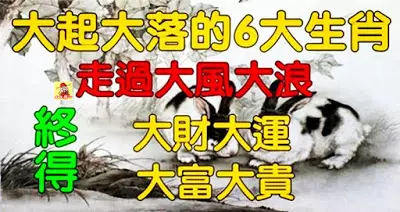 大起大落的生肖,走過大風大浪,終得大財大運,大富大貴,你身邊有這樣的人嗎?