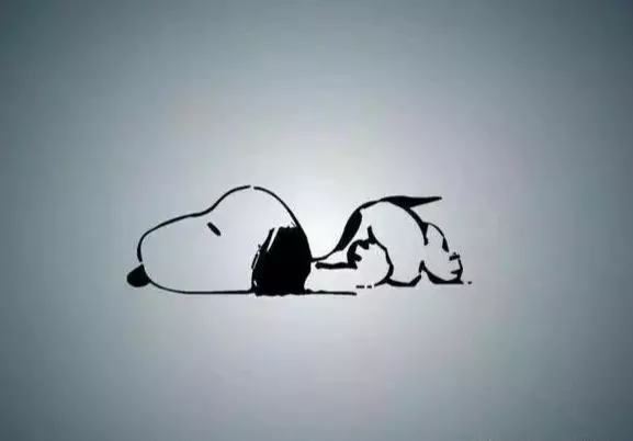 我很累,但我無路可退(被瘋狂轉載)
