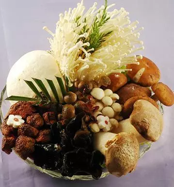 菌藻類食物,美味又抗癌