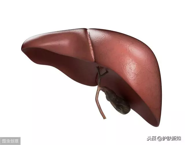這7種飲料能護肝,熬夜黨應酬黨都該收藏