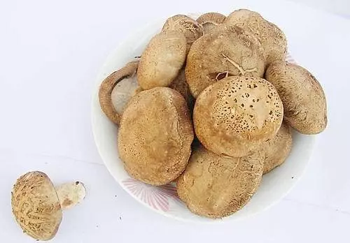 快速清洗香菇的方法,只需撒點它泡一泡,髒東西自己跑出來 !