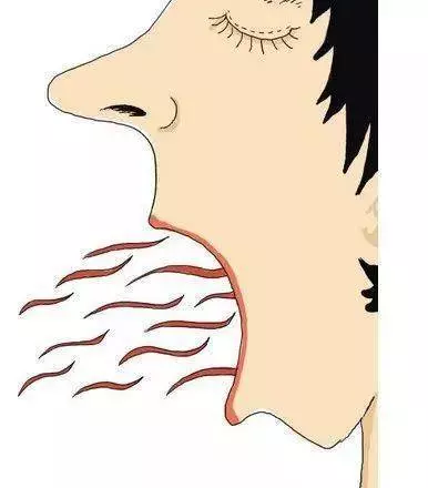 脾胃好不好,先看臉,若臉上沒有這3種「表象」,說明脾胃很健康