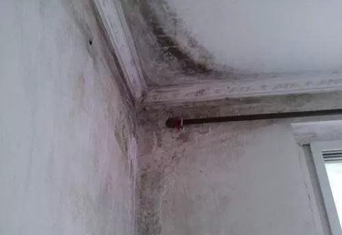 牆面起皮開裂起霉不用再找裝修工!老師傅教你一招,誰都能修補好!