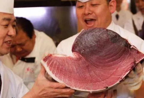 世界上「最貴」的魚 因味道太好吃被吃到瀕危 !