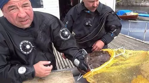 潛水員海里撈到怪魚,剛準備拽下來,臉上表情當即驟變!