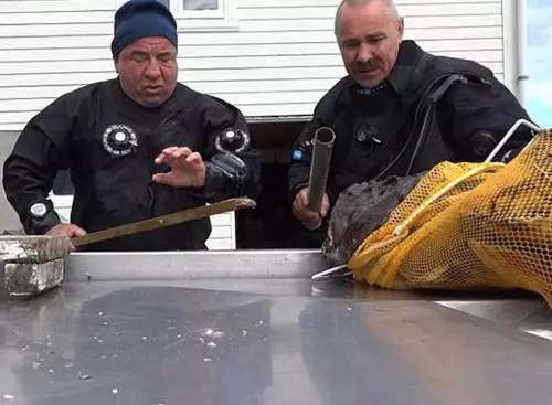 潛水員海里撈到怪魚,剛準備拽下來,臉上表情當即驟變!