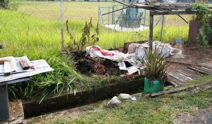 烈日下燒雜草 華婦暈倒被燒死
