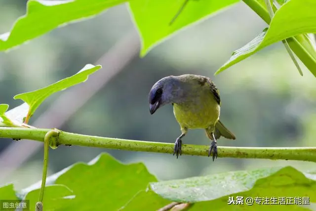 除了健康,真沒什麼值得你炫耀