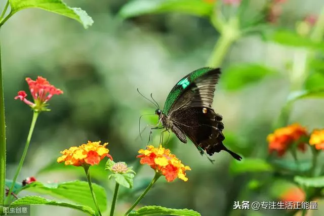 除了健康,真沒什麼值得你炫耀