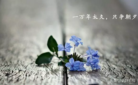 別人不會告訴你的10句人生哲理