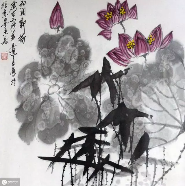 大吉之運!2020年福氣滿滿,能有大出息的6個生肖