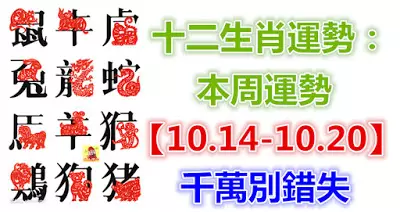十二生肖運勢:本周運勢【10.14-10.20】千萬別錯失!