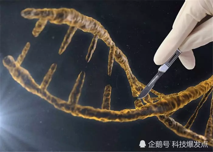 2.5億年前的「人腳印」被發現,科學家:地球生命是一個循環~