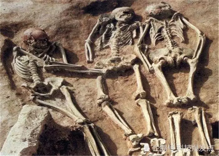 2.5億年前的「人腳印」被發現,科學家:地球生命是一個循環~