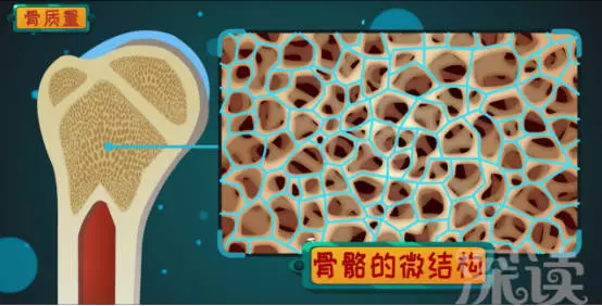 老年人骨質疏鬆,應該注意些什麼?