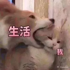 把孩子養大要200萬?這個算法說的太准了 !