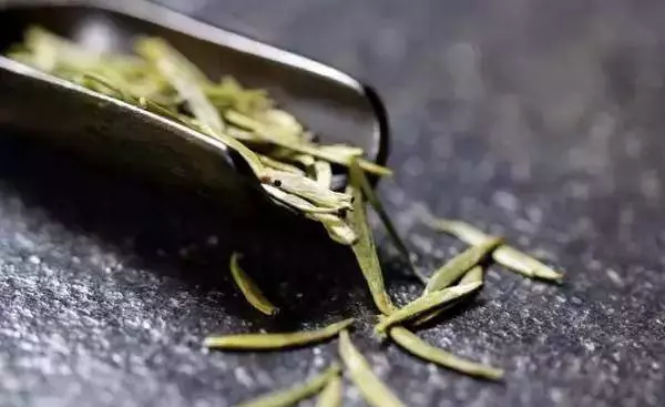 經常喝綠茶好處多多!專家:飲茶不得超過這個溫度,否則可能患癌 !