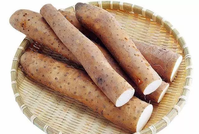 秋天吃山藥最養人!但醫生卻說:用這3種吃法,效果翻倍 !