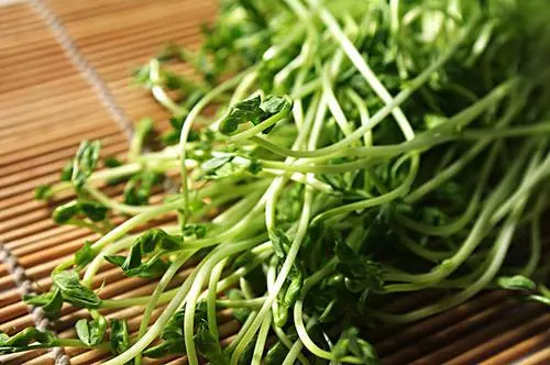 補充維生素C不只有水果,豌豆苗、大頭菜營養豐富,口味也更獨特