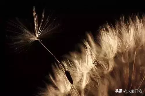 改變自己的128種方法,有時間讀一遍,教你變得更優秀