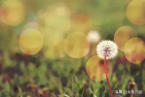 改變自己的128種方法,有時間讀一遍,教你變得更優秀