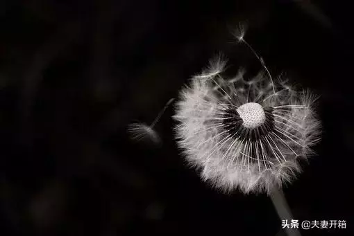 改變自己的128種方法,有時間讀一遍,教你變得更優秀