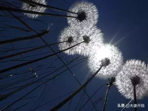 改變自己的128種方法,有時間讀一遍,教你變得更優秀