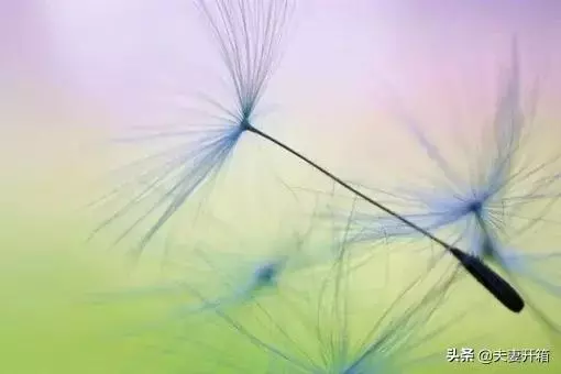 改變自己的128種方法,有時間讀一遍,教你變得更優秀
