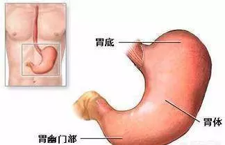胃不好的人,養胃要牢記:早晚堅持三要四不要,胃會感激你 !