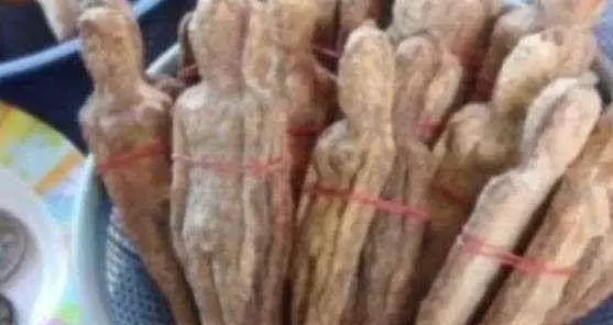 泰國旅遊, 看見滿樹的「女人果」再好看也不要買, 不然肯定後悔 !