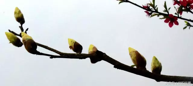 6條做人錦囊,你看就終身受益,不看就吃虧!