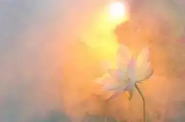 有些事,我不是不知道,只是沒解釋,我不傻,只是不想說!