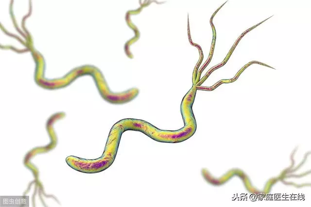 吃大蒜能「殺死」幽門螺旋桿菌?使用這兩個方法才靠譜