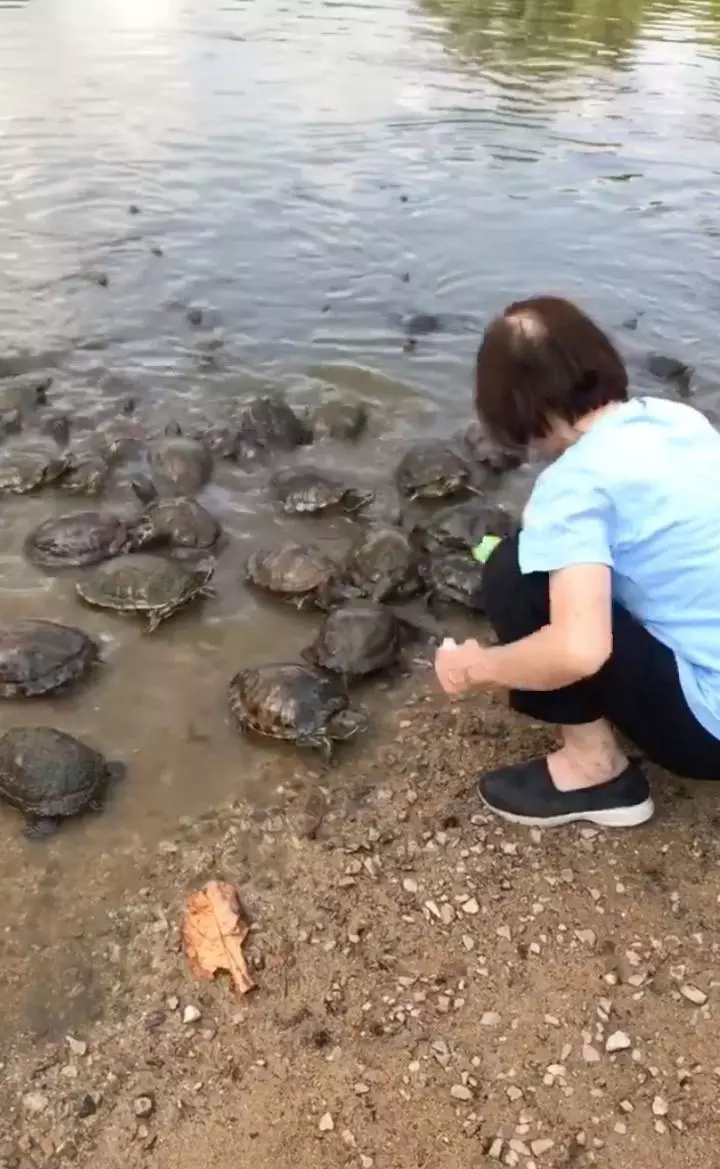 一起來養鴨鴨好噗好? 30張療癒照證明牠們「古錐好玩又好吃」❤