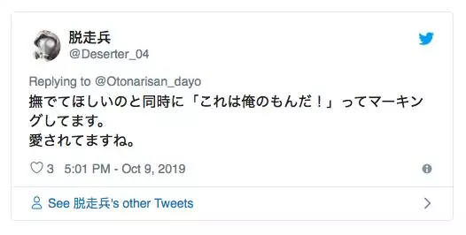 愛貓一直磨頭是不舒服? 主人急看診…獸醫:欠摸摸而已啦