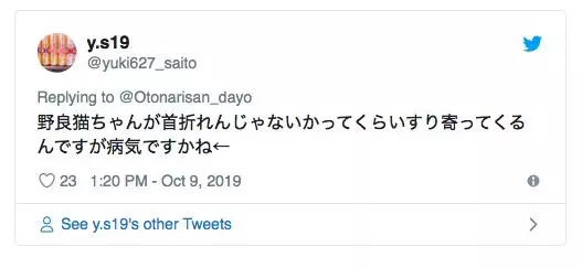 愛貓一直磨頭是不舒服? 主人急看診…獸醫:欠摸摸而已啦