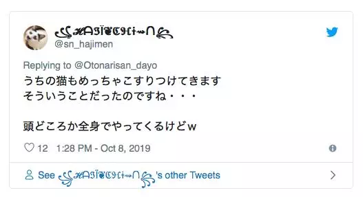愛貓一直磨頭是不舒服? 主人急看診…獸醫:欠摸摸而已啦