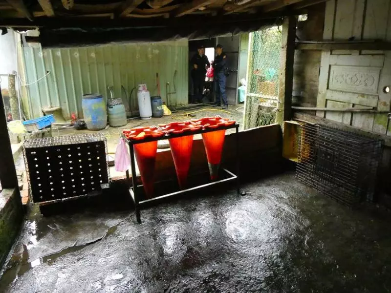 傳為違法養雞場關說?基隆議員極力否認