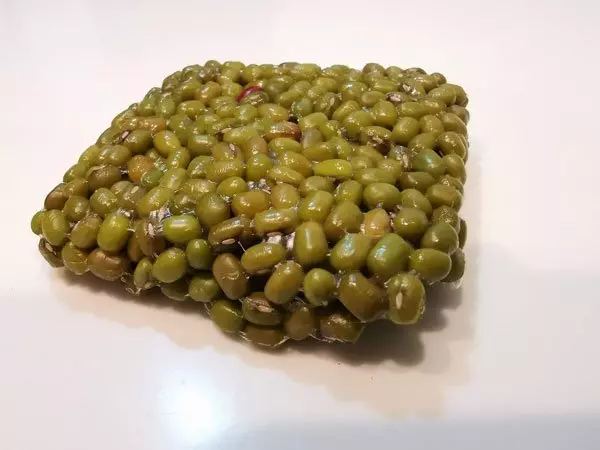 大馬華人的驕傲!4大馬博士生 獲全球挑戰獎!