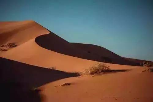 傷害你的人,其實是來渡你的!