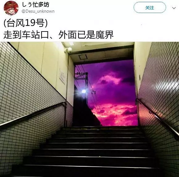 史上最強颱風吹襲日本,卻成了網友們惡搞的對象