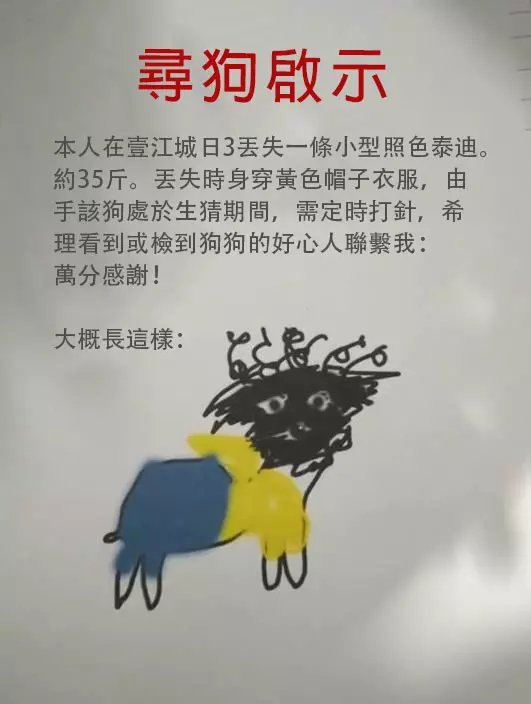 一張尋狗啟事上面「印象派畫風」讓人看到笑歪,沒想到順利找回狗狗後「本尊就長這樣」