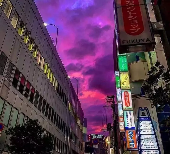 日本網友吐槽:滅世級颱風,秋葉原女僕依然堅守,二次元賽高!