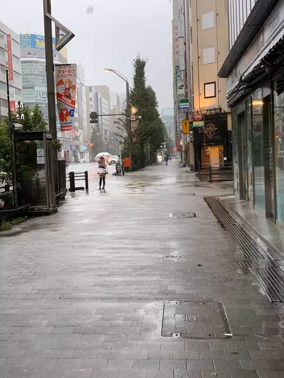 日本網友吐槽:滅世級颱風,秋葉原女僕依然堅守,二次元賽高!