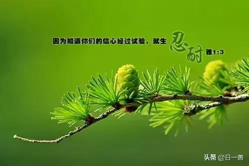 能解你憂愁、煩惱、壓力的幾句話